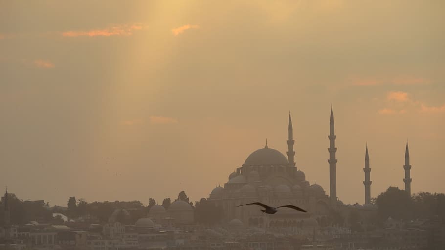 velho, antiga, histórico, istambul, pôr do sol, turquia, mesquita, otomano, islão, dourado