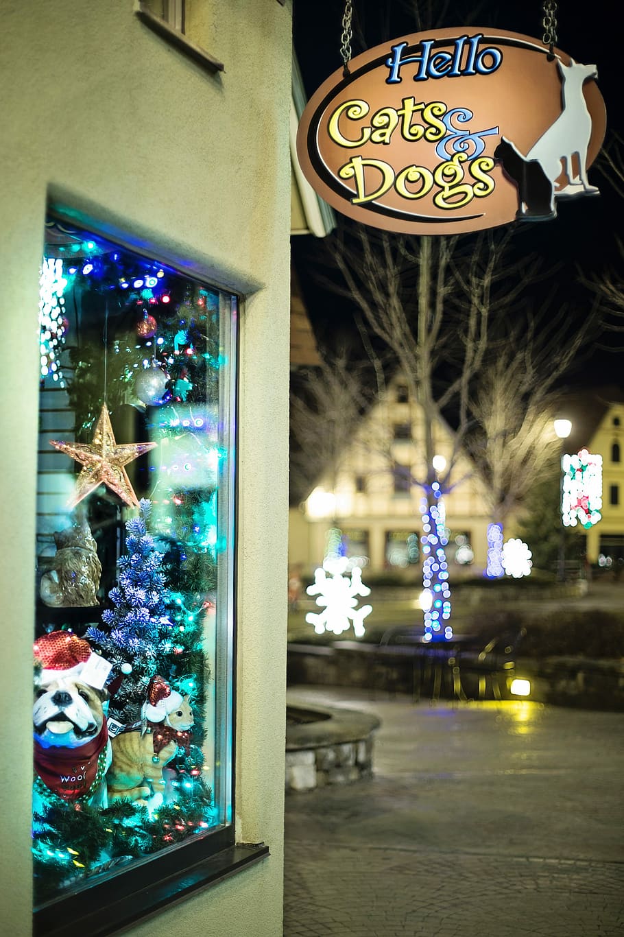 Christmas Store, Window, Display, window, display, night, illuminated, christmas, christmas decoration, celebration, decoration