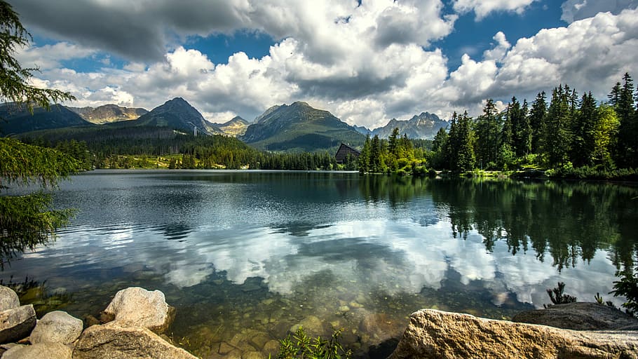 body, water, green, leafed, trees, daytime, green forest, body of water, tatras, mountains