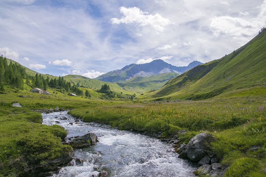 río, rodeado, verde, campo de hierba, la thuile, valle de aosta, alpes, paisaje, montaña, italia