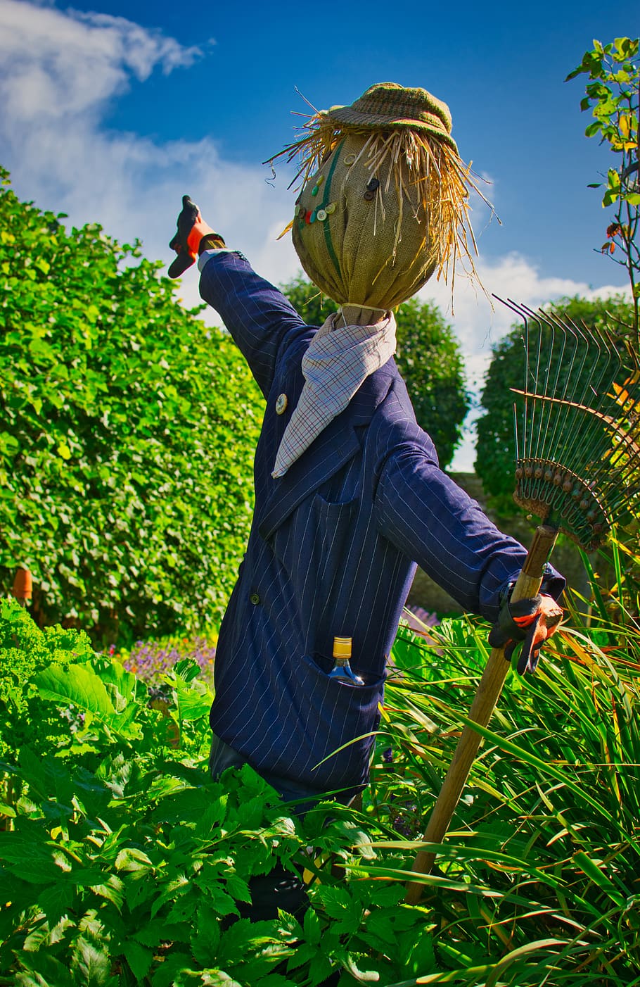 scarecrow, garden, doll, face, funny, protection, figure, expulsion, harvest, protect