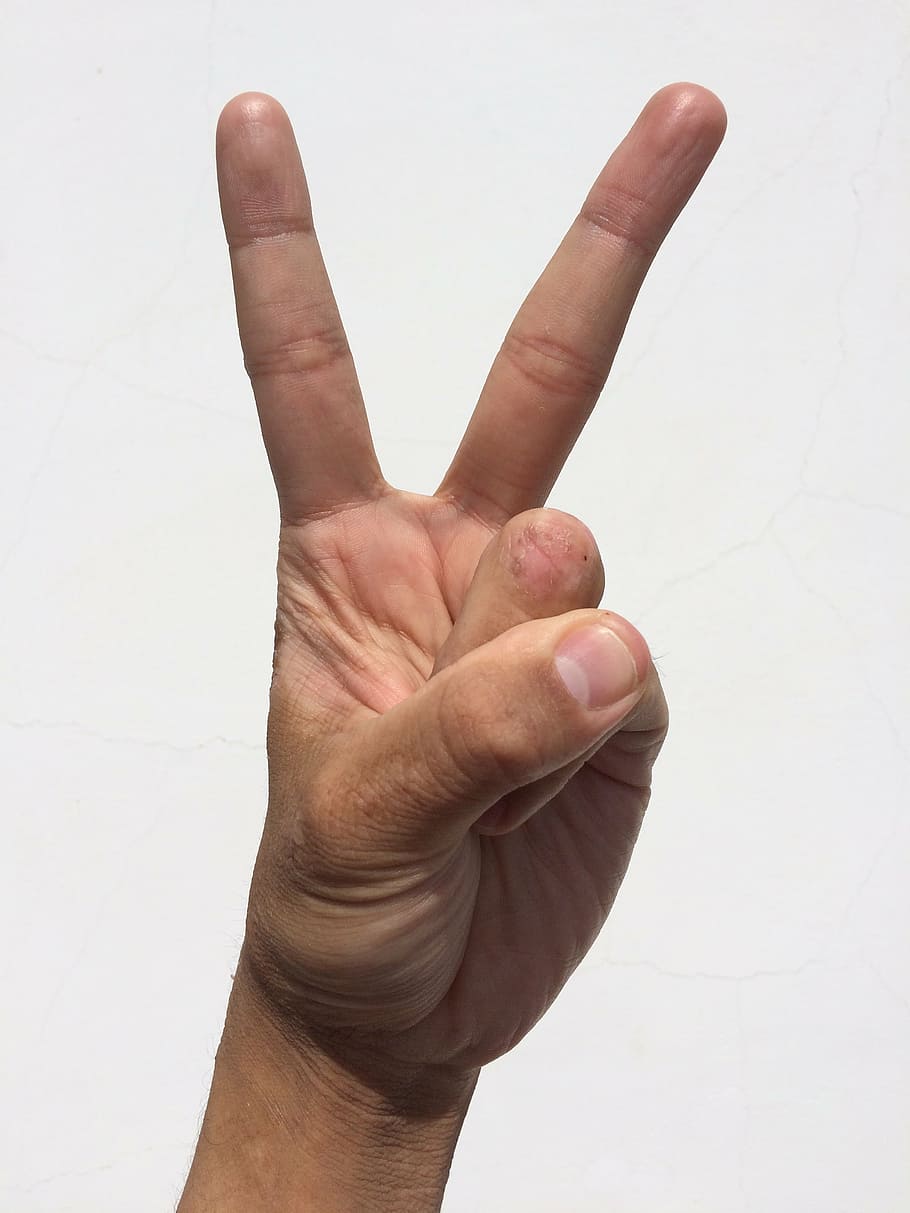 paz, humano, sinal da mão, palma, mão, dedo, unha, jovem, japonês, pessoas