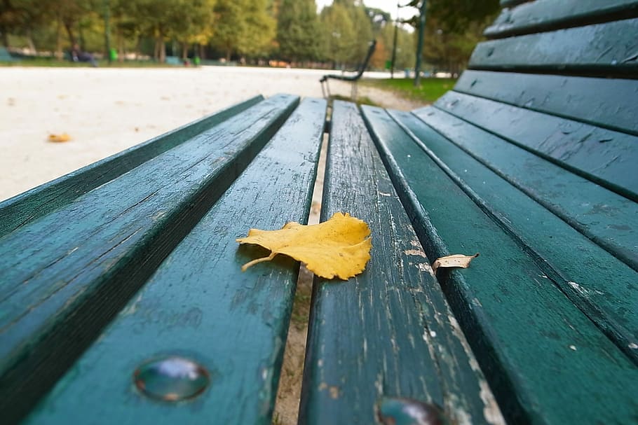 Bench, Fake, Yellow, 歐, Chau, Milan, 歐 chau, park, nature, autumn