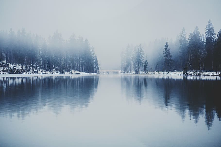 reflective, photography, pine trees, snow, covered, trees, near, body, water, lake