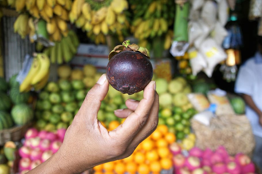 market, fruit, food, nature, mangosteen, sri lanka, human hand, healthy eating, one person, food and drink