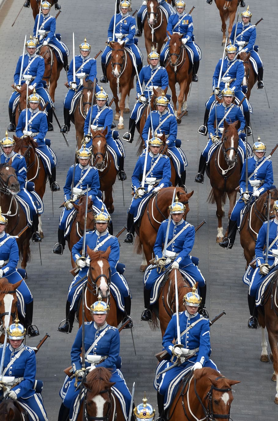 sweden, stockholm, palace guard, changing of the guard, scandinavia, monarchy, day, real people, city, group of animals