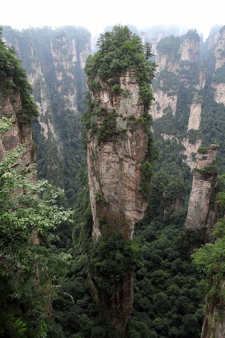 aerial, photography, rock formation, zhangjiajie, wulingyuan, quartz sandstone peak woodland landscape, pillar of the south heaven, hallelujah, tree, plant