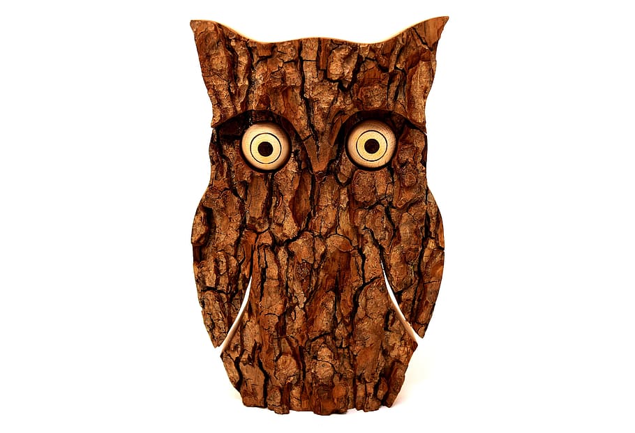 brown, black, wooden, owl figurine close-up photo, owl, tree bark, animal, eagle owl, funny, forest
