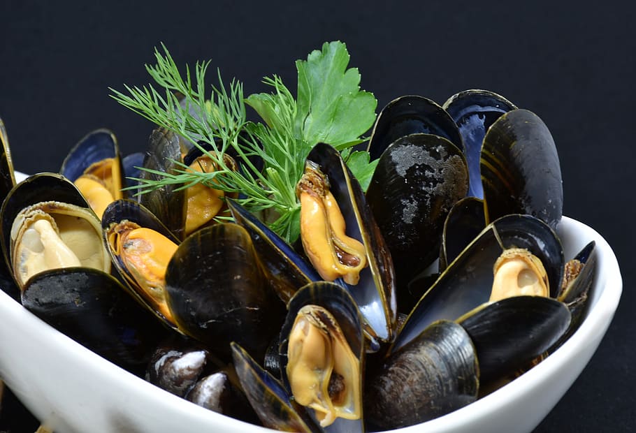 black, mussels, ceramic, bowls, mussel, common mussel, mytilidae, cook, background, healthy