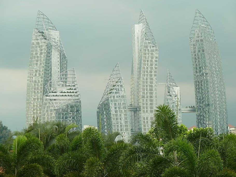 silver buildings, surrounded, green, trees, daytime, silver, buildings, architecture, skyscraper, urban Scene