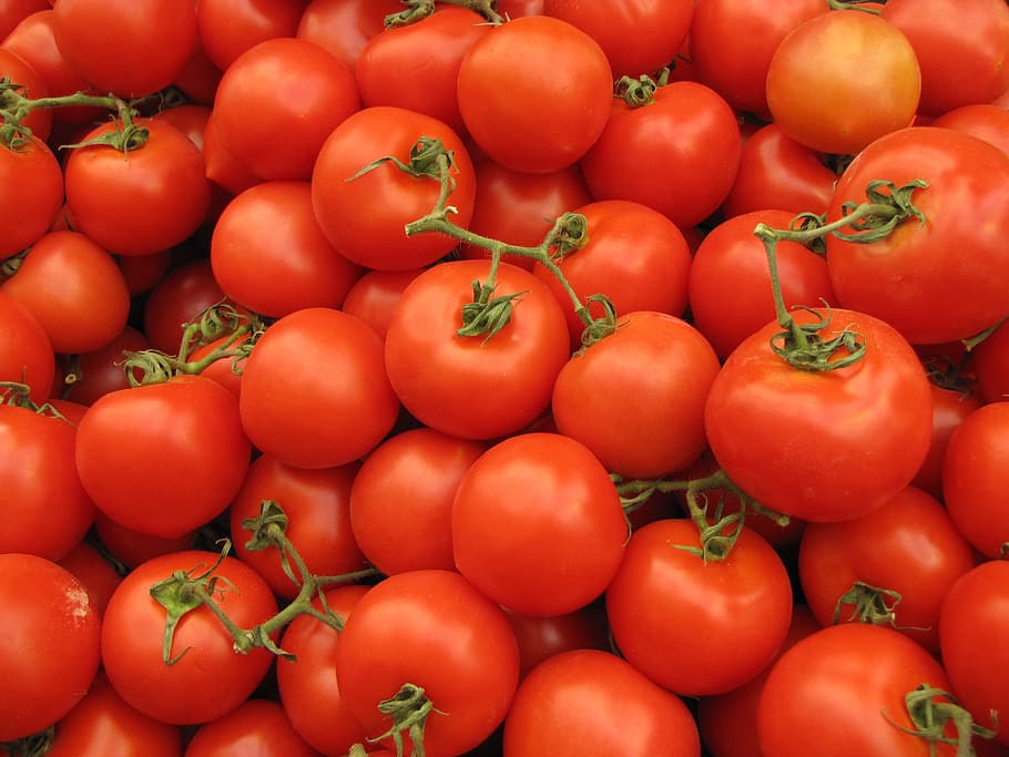 tomat, makanan, sayur, sehat, kesehatan, pasar, merah, sayur-sayuran, makanan dan minuman, kesejahteraan