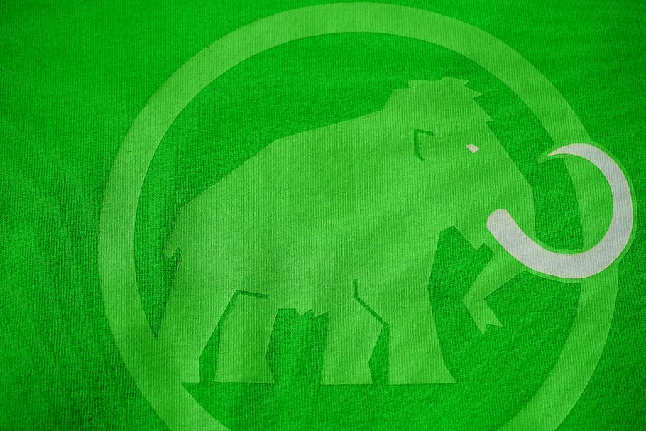 Camiseta, mamut, logotipo, marca, verde, tela, elefante, cierre, colmillo, impreso