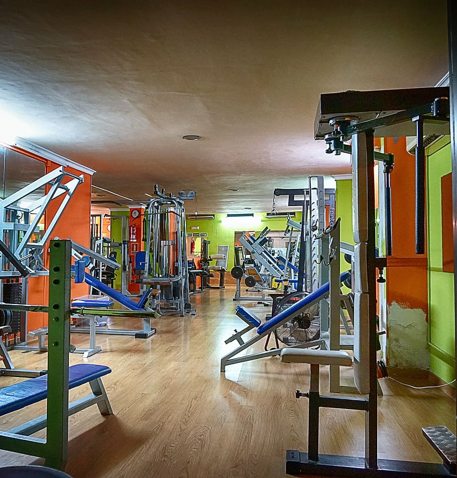 fitness studio, training, bless you, force, sport, fitness room, weight plates, fitness center, power sports, back workout