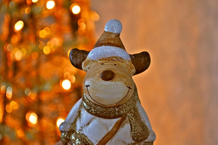 natal, akhir tahun, dekorasi natal, penerangan, dekorasi, pohon natal, lampu, arca, moose, senyum