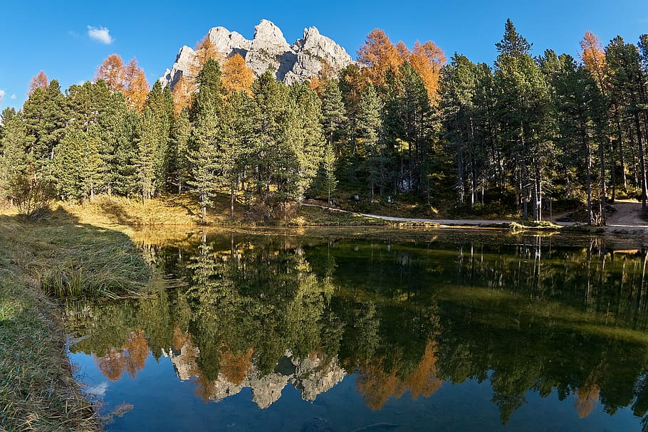 autumn, lake, trees, forest, nature, landscape, farbenspiel, dolomites, val gardena, south tyrol