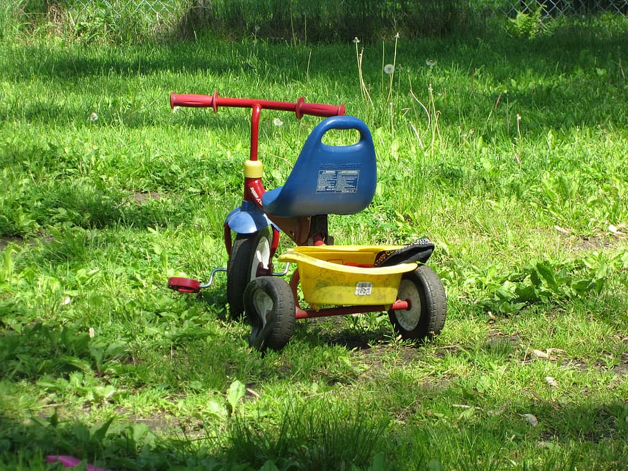 triciclo, brinquedo, criança, crianças, jogar, fora, gramado Cortador de grama, roçada, grama, verão
