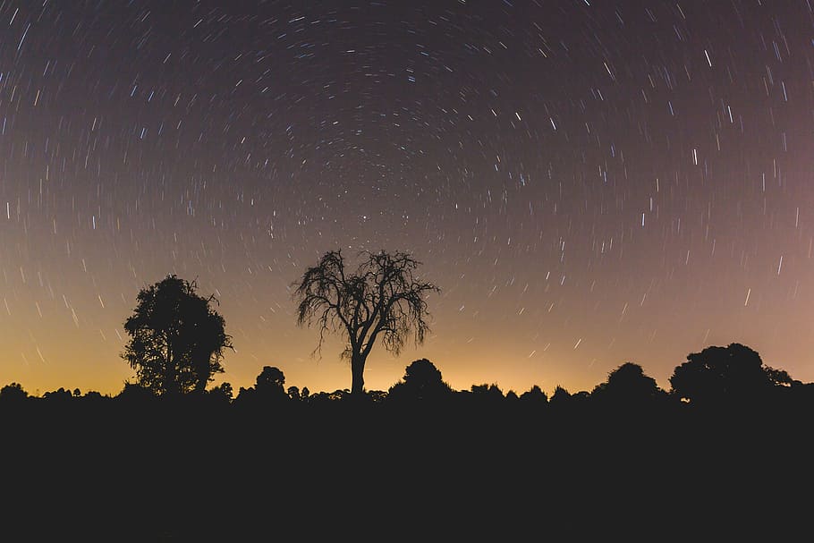 long, exposure photography, silhouette trees, night, stars, galaxy, trees, plant, nature, silhouette