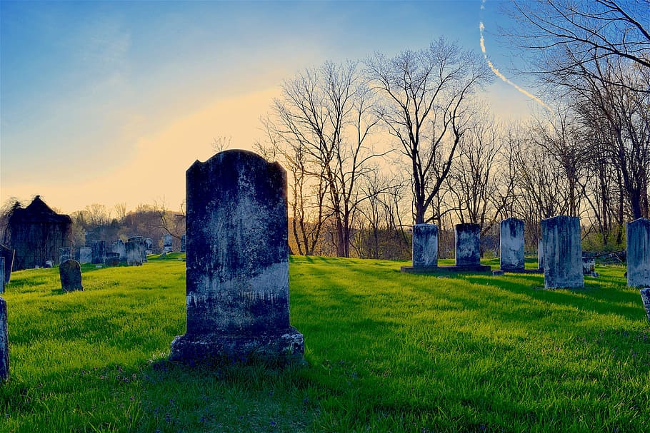 Cementerio, lápida, tumba, muerte, paisaje, piedra, viejo, hierba, memorial, árbol desnudo