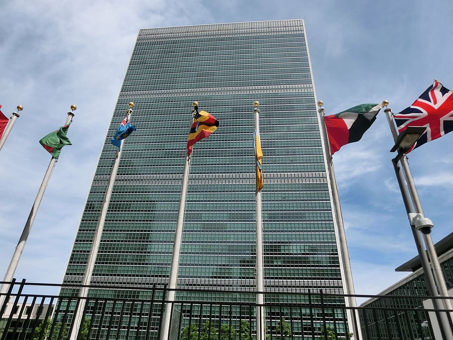 low-angle photo, high, rise building, un, building, usa, united nations, united states of america, league of nations, new york