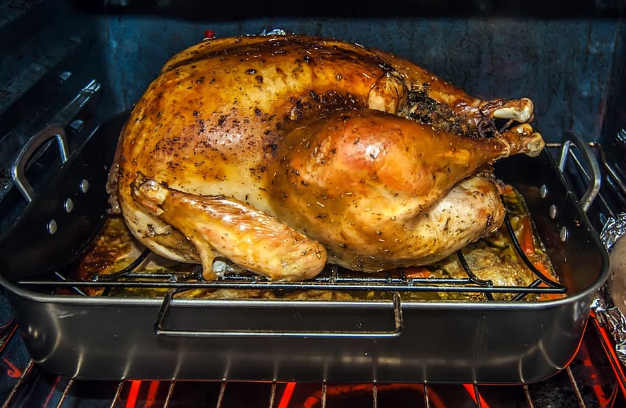 roast chicken, electric, oven, turkey, dinner, meal, cooking, roast, roasting, thanksgiving