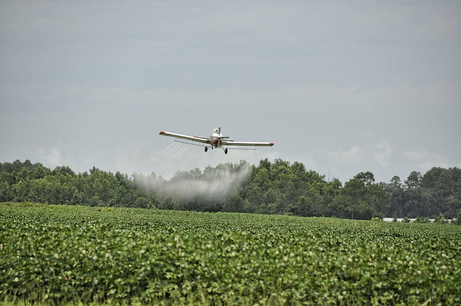 white, monoplane spraying fertilizer, airplane, crop duster, dangerous, agriculture, aircraft, farm, aviation, plane