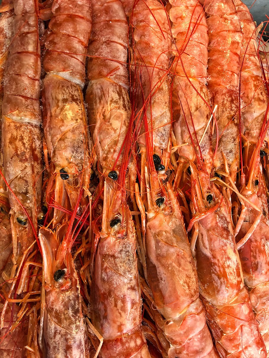seafood, shrimp, gourmet, restaurant, prawn, asian, shellfish, dinner, sea, cuisine