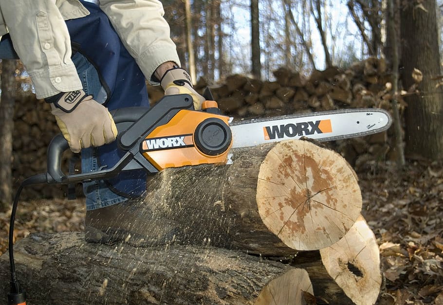 chainsaw, wood, tree, human body part, day, outdoors, close-up, people, one person, men
