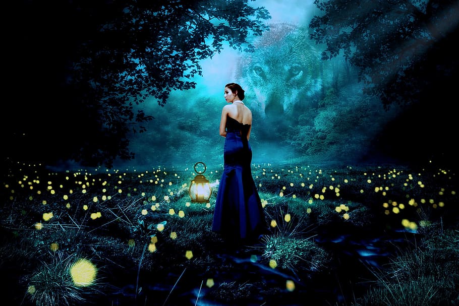 woman, standing, surrounded, trees, flowers, nature, people, light, wolf, lantern