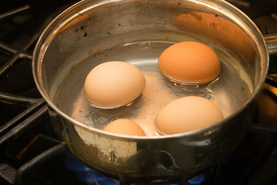 eggs, boiled eggs, breakfast, food, boiled, cooked, healthy, yolk, fresh, hard