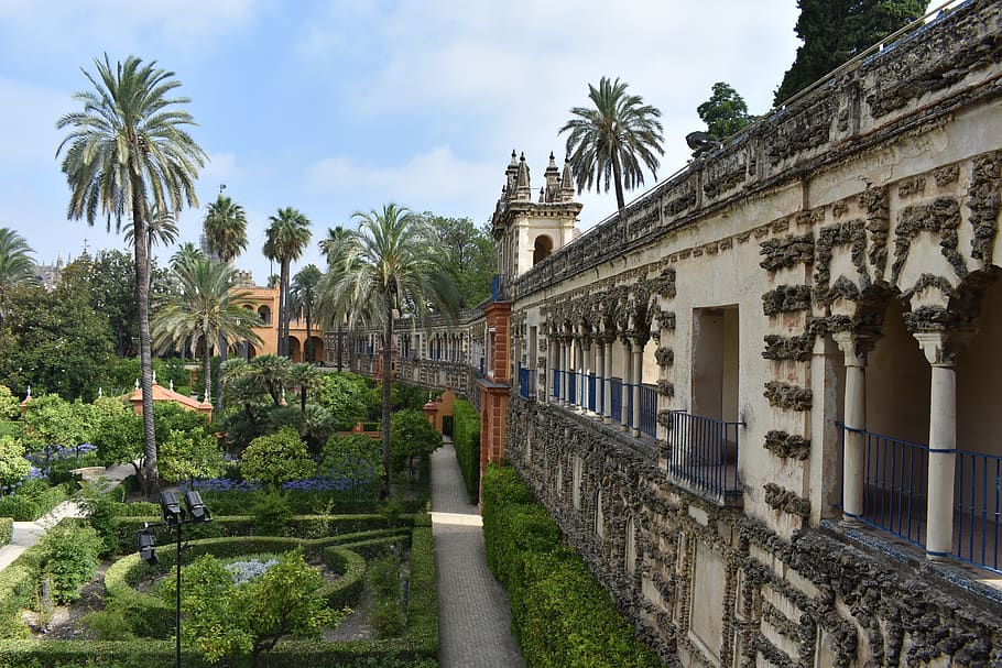 real alcázar de sevilla, alcázar, seville, sevilla, spain, europe, travel, palace, wall, garden