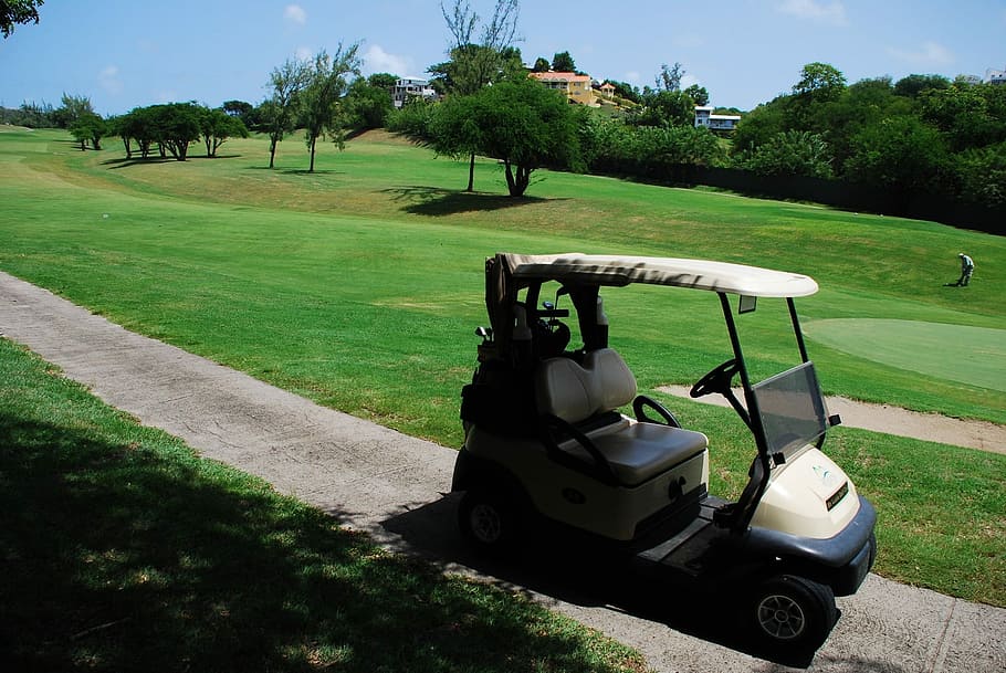 Golf, Car, Cart, Sport, Outdoor, Club, golf, car, grass, golf course, absence