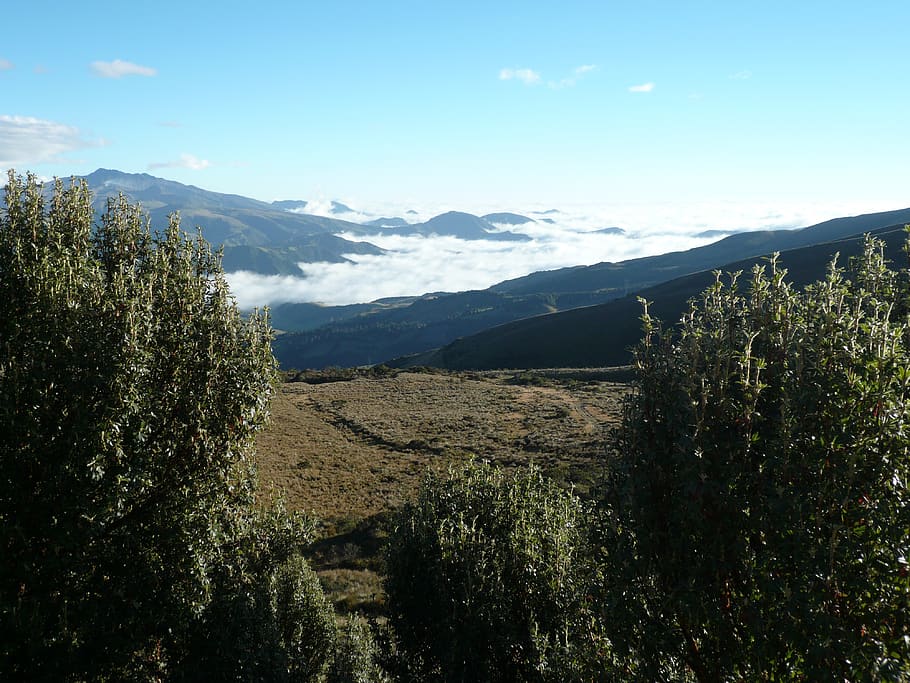 quito, ecuador, volcano, tourism, sky, mountain, scene, landscape, clouds, plant