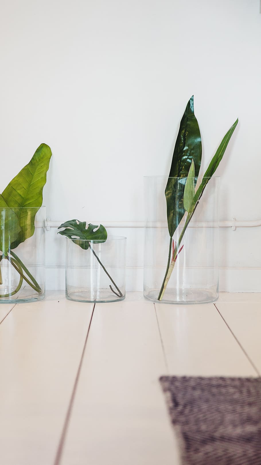 sederhana, tanaman, vas, dalam ruangan, dekorasi, minimal, organik, alam, rumah, Desain
