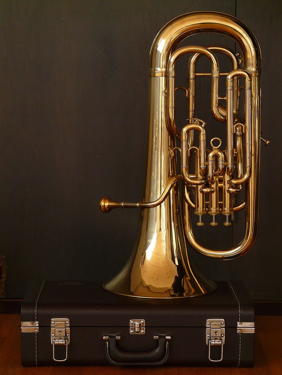 brass tuba, case, brass, tuba, euphonium, bugle, brass instrument, instrument, pump valves, gloss