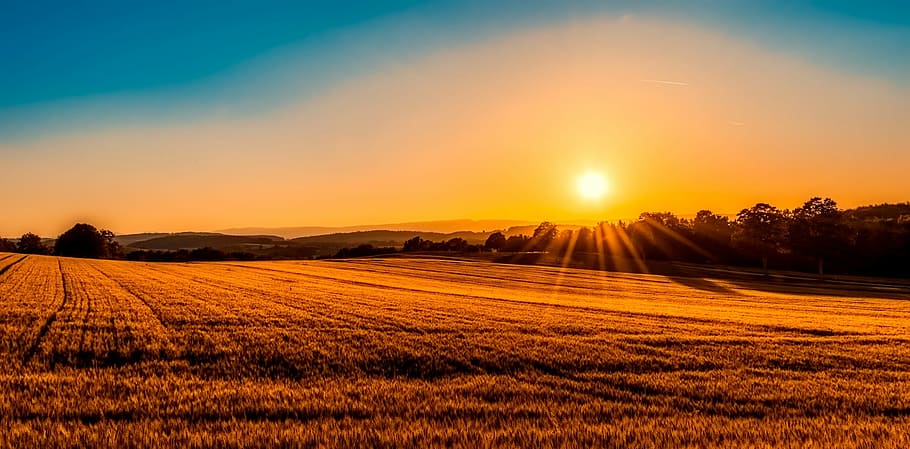 silhouette photo, brown, Switzerland, Panorama, Field, agriculture, farm, sunrise, sunset, forest