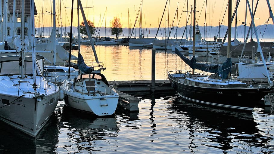morning, marina, water surface, lake, bodensee, glow, autumn, beach, relax, sunny