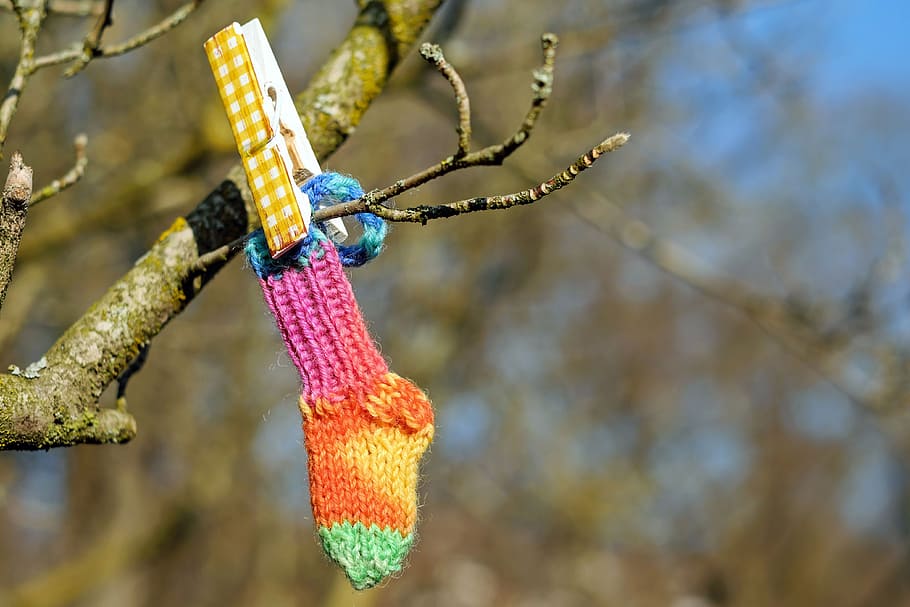 selective, focus photography, knit, sock, colorful, knitted, hand labor, hangs, branch, clothes peg