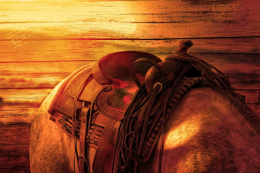 brown, leather pet saddle, horse's back, ride, horse, saddle, sunlight, wood, lighting, equestrian saddle