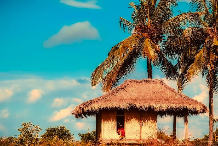 nipa hut, coconut tree, indonesia, tropics, tropical, vacation, holiday, tourism, sky, clouds