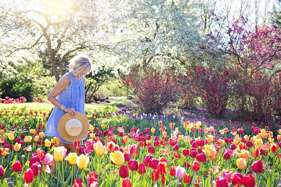 mujer, azul, vestido sin mangas, rodeado, flor, durante el día, primavera, tulipanes, mujer bonita, mujer joven