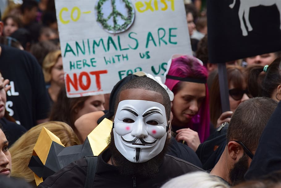 manifestación, marzo, firmar, manifestante, máscara, derechos de los animales, protesta, demostración, política, activista