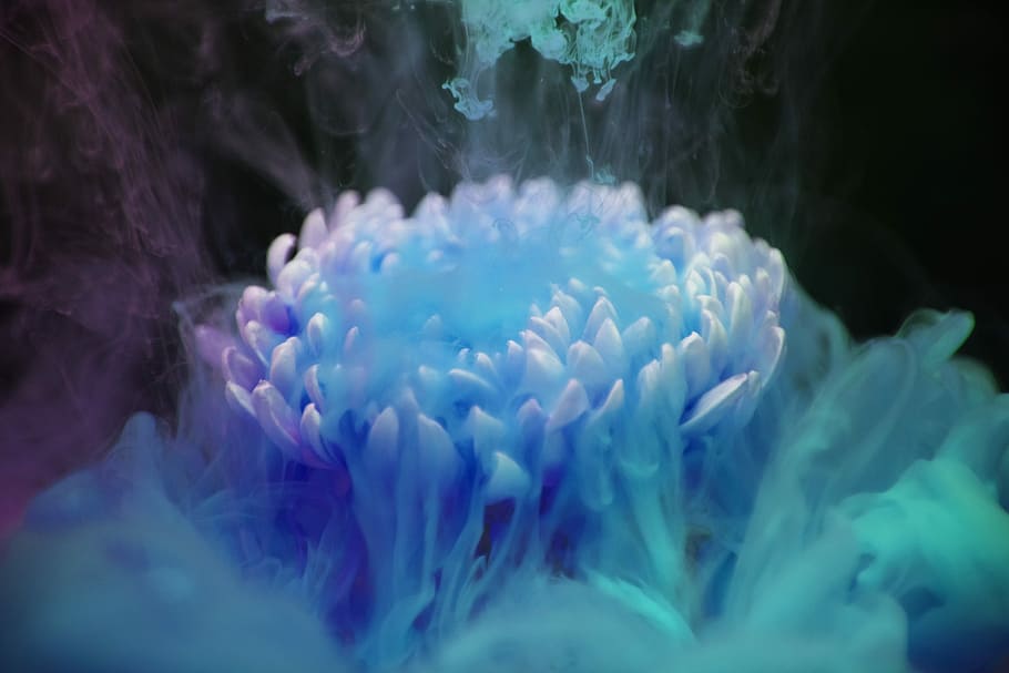 white, flower, surrounded, blue, green, smoke, digital, wallpaper, abstract, abstraction