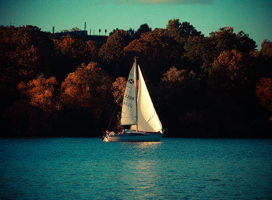 white, boat, body, water, gray, sail, trees, daytime, nature, landscape