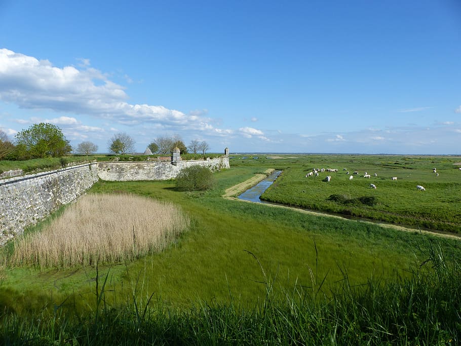 channel, ramparts, cattle, fortifications, pierre, france, architecture, heritage, history, wall