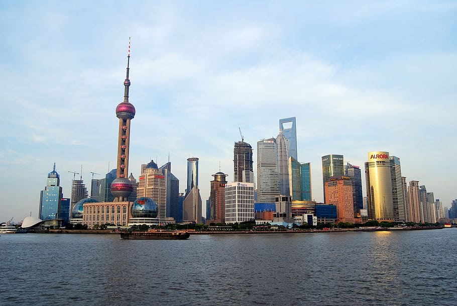 sortido, edifícios, ao lado, corpo, água, linha do horizonte de shanghai, paisagem urbana, arquitetura, urbano, china