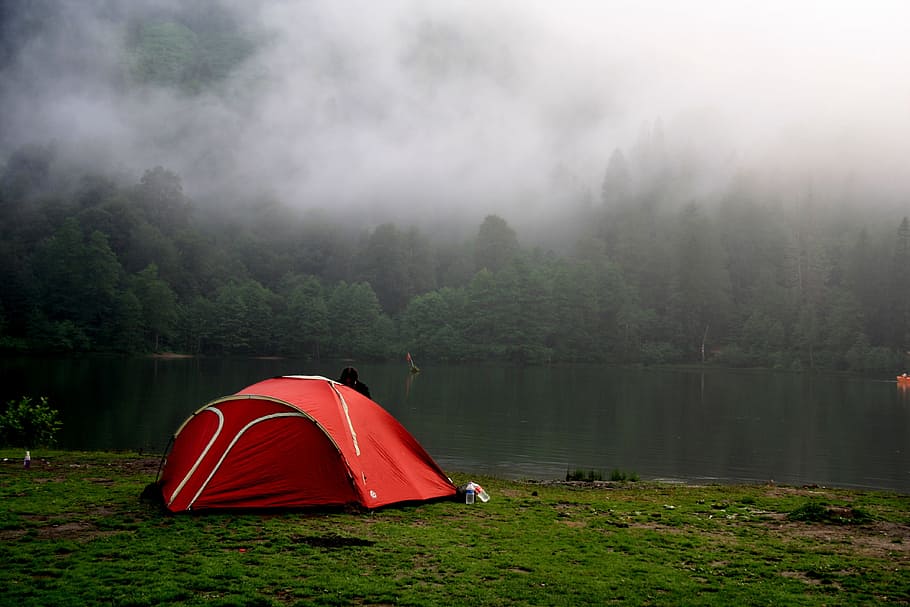 red, dome tent, placed, lake, artvin, turkey, nature, forest, borçka, landscape
