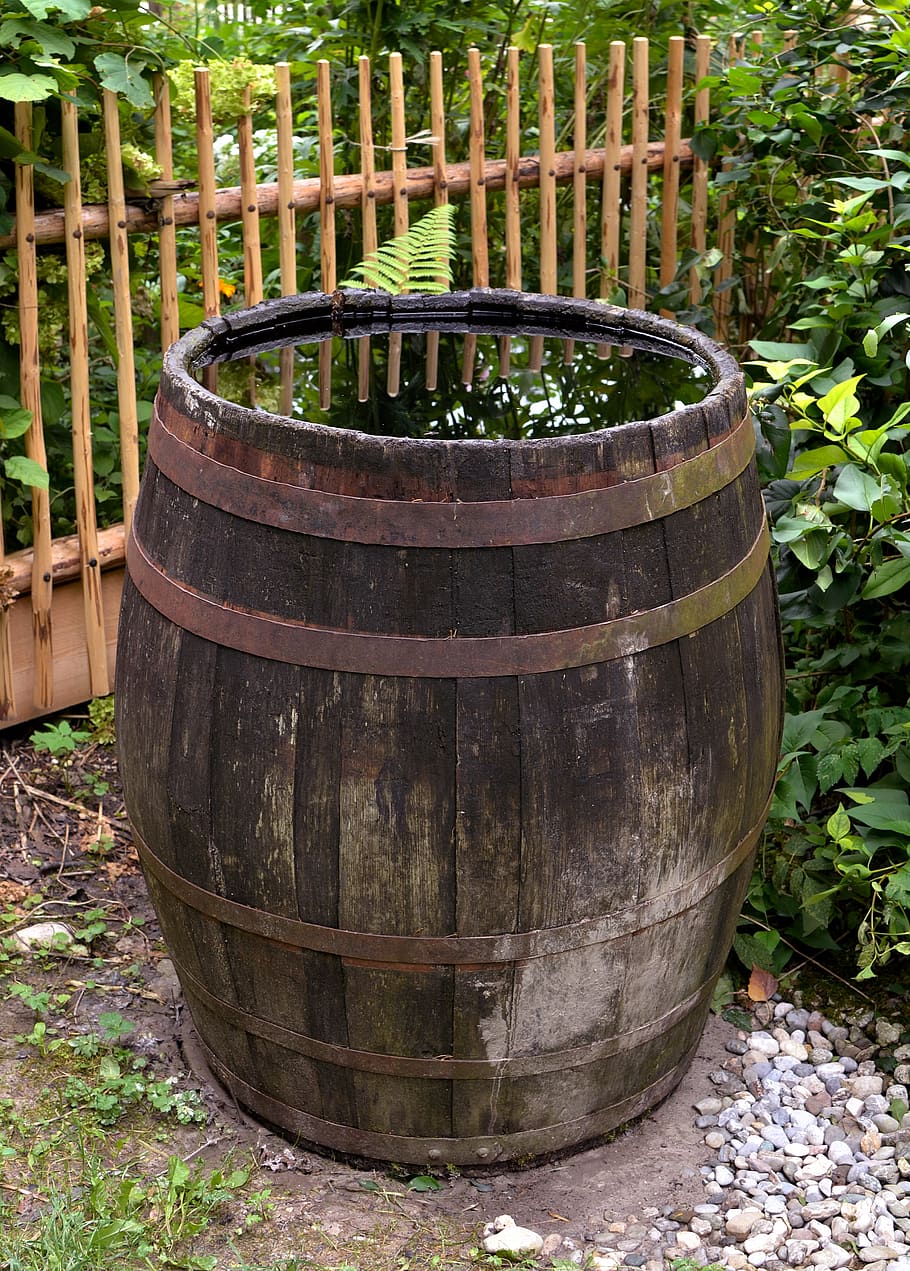 barrel, rainwater, water, watering, reflection, garden, cylinder, container, plant, wood - material