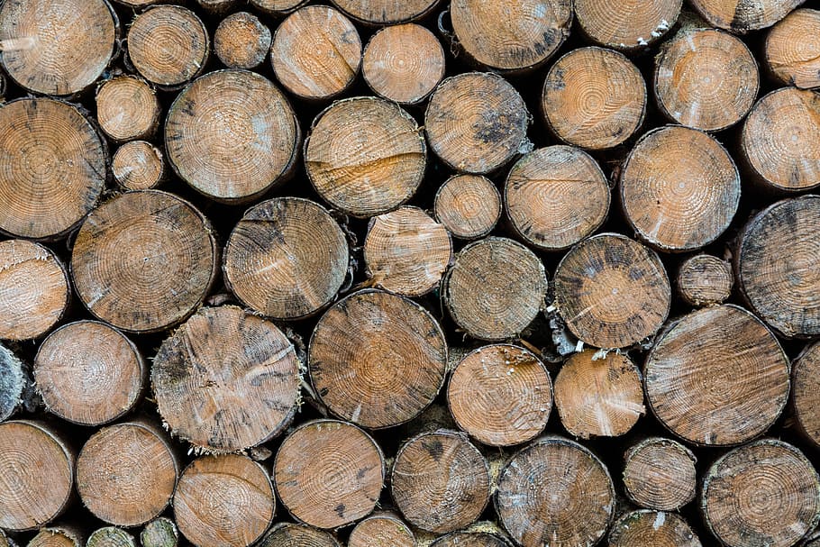 Wood, Spar, Brown, Winter, Cold, stacked, stack, nature, light brown, pattern