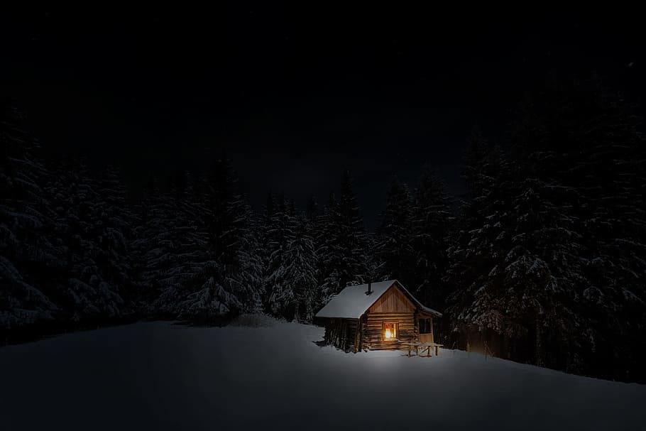 집, 나무 그림, 오두막, 겨울, 눈, 밤, 추위, 건축물, 추운 온도, 조명을받은