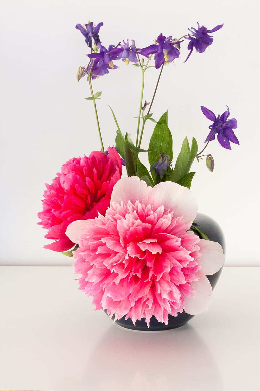 photography, bouquet, pink, carnation flowers, purple, flowers, peony, pentecost, nature, spring